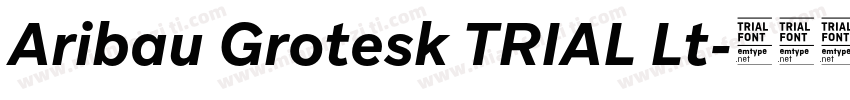 Aribau Grotesk TRIAL Lt字体转换